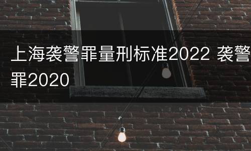 上海袭警罪量刑标准2022 袭警罪2020