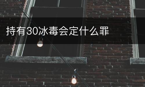 持有30冰毒会定什么罪