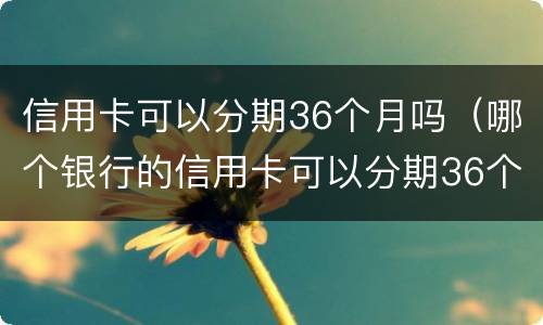 信用卡可以分期36个月吗（哪个银行的信用卡可以分期36个月）