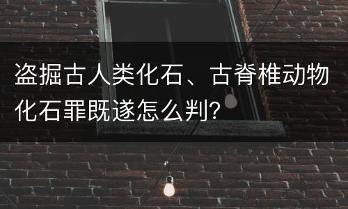 盗掘古人类化石、古脊椎动物化石罪既遂怎么判？
