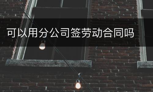 可以用分公司签劳动合同吗