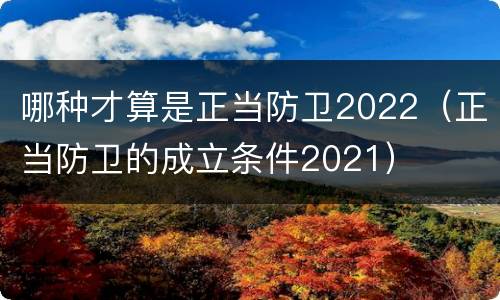 哪种才算是正当防卫2022（正当防卫的成立条件2021）