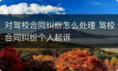 对驾校合同纠纷怎么处理 驾校合同纠纷个人起诉