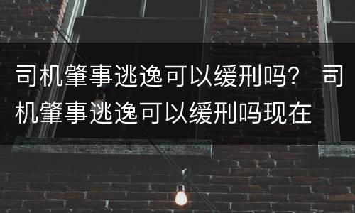 司机肇事逃逸可以缓刑吗？ 司机肇事逃逸可以缓刑吗现在