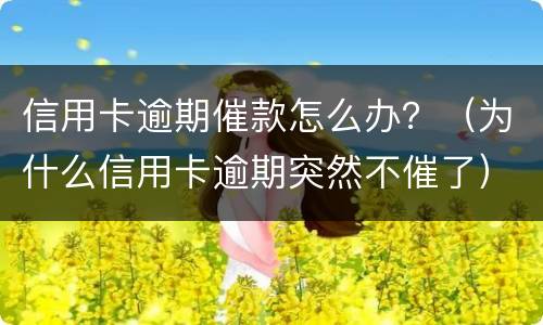 信用卡逾期催款怎么办？（为什么信用卡逾期突然不催了）