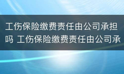 工伤保险缴费责任由公司承担吗 工伤保险缴费责任由公司承担吗怎么查