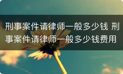 刑事案件请律师一般多少钱 刑事案件请律师一般多少钱费用