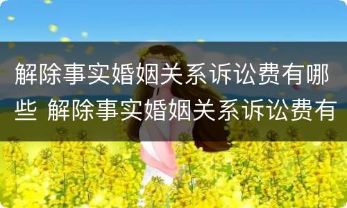 解除事实婚姻关系诉讼费有哪些 解除事实婚姻关系诉讼费有哪些项目