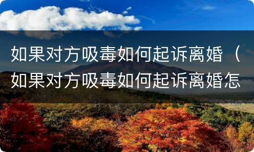 如果对方吸毒如何起诉离婚（如果对方吸毒如何起诉离婚怎么办）