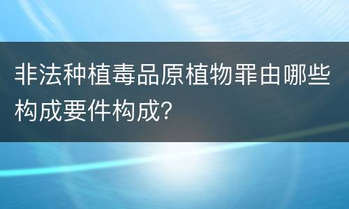 非法种植毒品原植物罪由哪些构成要件构成？