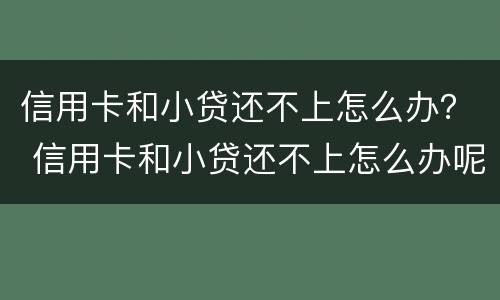 信用卡和小贷还不上怎么办？ 信用卡和小贷还不上怎么办呢