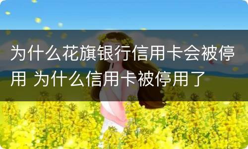 为什么花旗银行信用卡会被停用 为什么信用卡被停用了