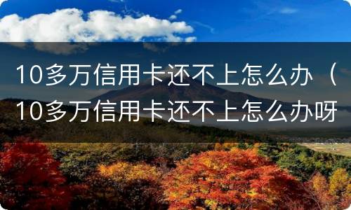 10多万信用卡还不上怎么办（10多万信用卡还不上怎么办呀）