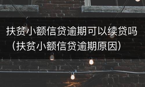 扶贫小额信贷逾期可以续贷吗（扶贫小额信贷逾期原因）