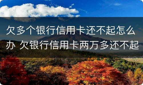 欠多个银行信用卡还不起怎么办 欠银行信用卡两万多还不起怎么办