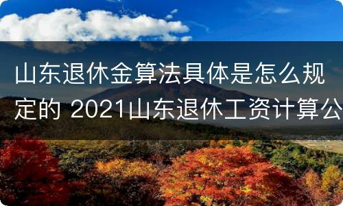 山东退休金算法具体是怎么规定的 2021山东退休工资计算公式
