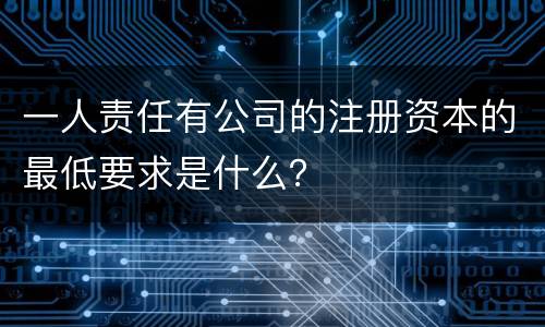 一人责任有公司的注册资本的最低要求是什么？
