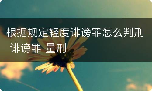 根据规定轻度诽谤罪怎么判刑 诽谤罪 量刑