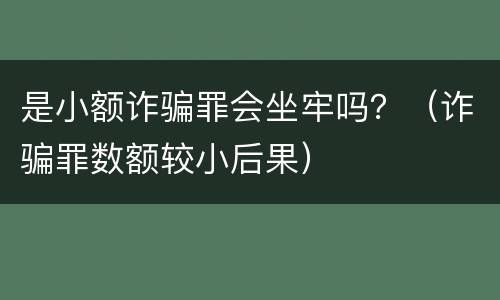 是小额诈骗罪会坐牢吗？（诈骗罪数额较小后果）