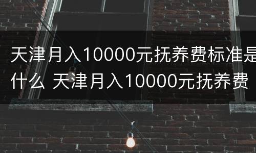 天津月入10000元抚养费标准是什么 天津月入10000元抚养费标准是什么样的