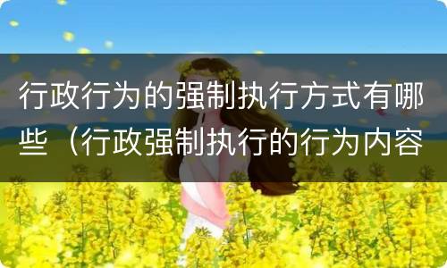 行政行为的强制执行方式有哪些（行政强制执行的行为内容）