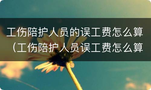 工伤陪护人员的误工费怎么算（工伤陪护人员误工费怎么算由谁负担）