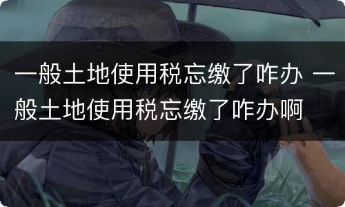 一般土地使用税忘缴了咋办 一般土地使用税忘缴了咋办啊