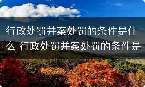 行政处罚并案处罚的条件是什么 行政处罚并案处罚的条件是什么意思