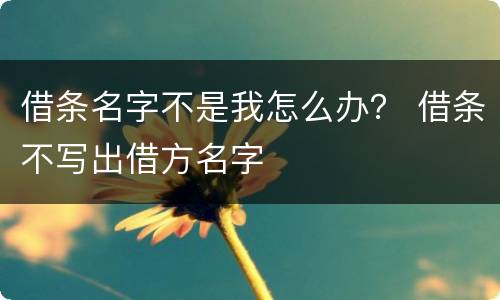 借条名字不是我怎么办？ 借条不写出借方名字