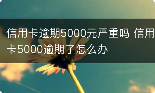 信用卡逾期5000元严重吗 信用卡5000逾期了怎么办