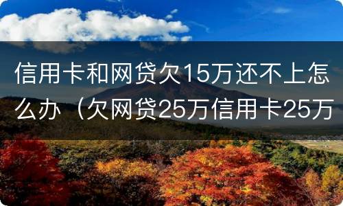 信用卡和网贷欠15万还不上怎么办（欠网贷25万信用卡25万还不上）
