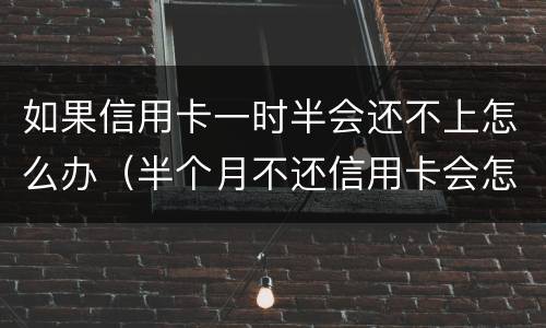 如果信用卡一时半会还不上怎么办（半个月不还信用卡会怎样）