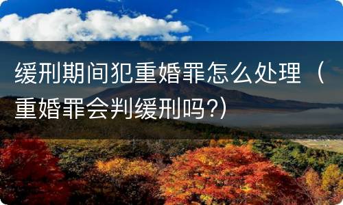 缓刑期间犯重婚罪怎么处理（重婚罪会判缓刑吗?）