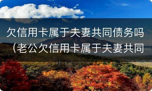 欠信用卡属于夫妻共同债务吗（老公欠信用卡属于夫妻共同债务吗）