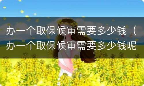 办一个取保候审需要多少钱（办一个取保候审需要多少钱呢）