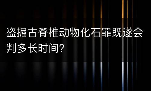 盗掘古脊椎动物化石罪既遂会判多长时间?