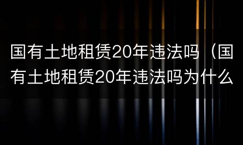 国有土地租赁20年违法吗（国有土地租赁20年违法吗为什么）