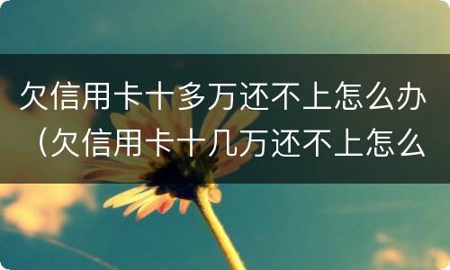 欠信用卡十多万还不上怎么办（欠信用卡十几万还不上怎么办）