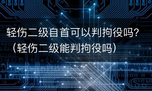 轻伤二级自首可以判拘役吗？（轻伤二级能判拘役吗）