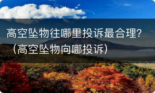 高空坠物往哪里投诉最合理？（高空坠物向哪投诉）
