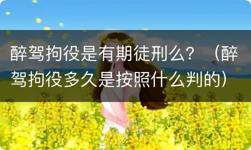 醉驾拘役是有期徒刑么？（醉驾拘役多久是按照什么判的）