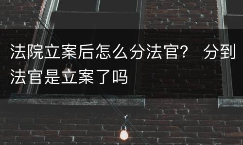 法院立案后怎么分法官？ 分到法官是立案了吗