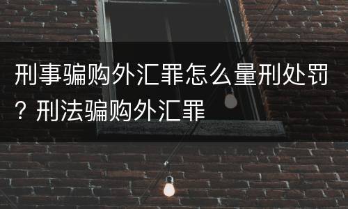 刑事骗购外汇罪怎么量刑处罚? 刑法骗购外汇罪