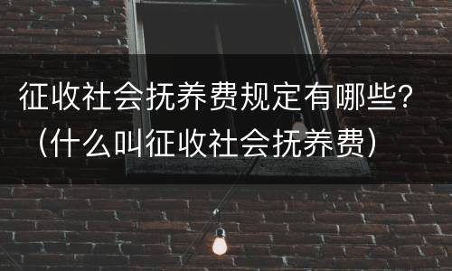 征收社会抚养费规定有哪些？（什么叫征收社会抚养费）