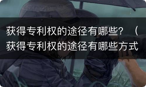 获得专利权的途径有哪些？（获得专利权的途径有哪些方式）