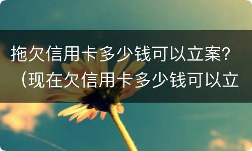 拖欠信用卡多少钱可以立案？（现在欠信用卡多少钱可以立案）