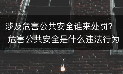 涉及危害公共安全谁来处罚？ 危害公共安全是什么违法行为