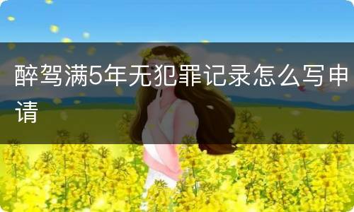醉驾满5年无犯罪记录怎么写申请