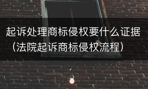 起诉处理商标侵权要什么证据（法院起诉商标侵权流程）