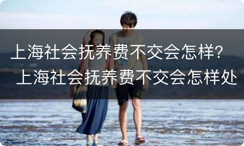 上海社会抚养费不交会怎样？ 上海社会抚养费不交会怎样处罚